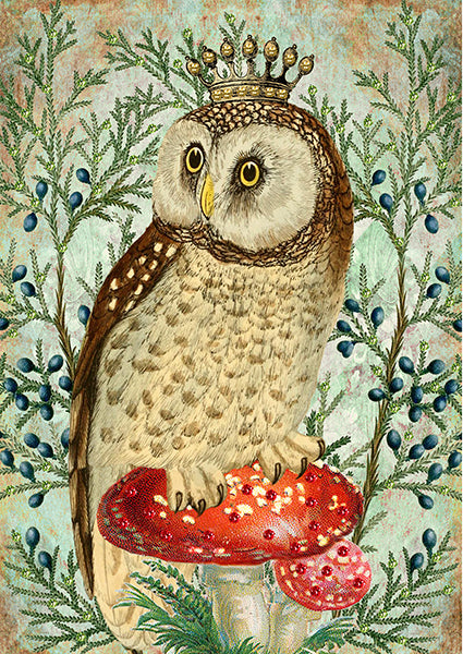 'Regal Winter Owl' Glitter Greetings Card