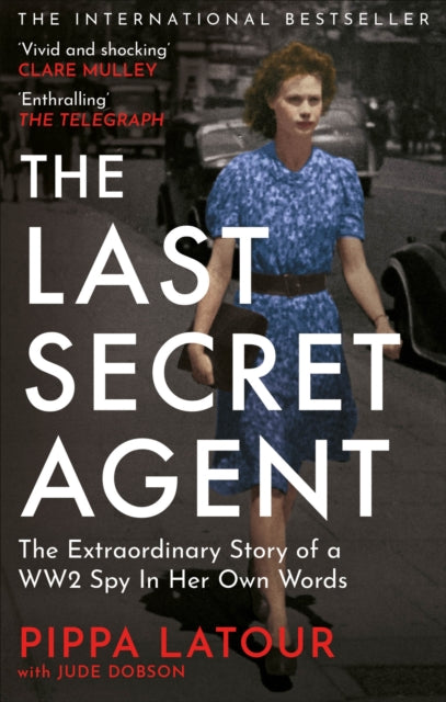 Book cover of 'The Last Secret Agent' with a woman in a blue dress.