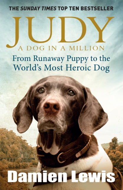 Book cover of 'Judy: A Dog in a Million: From Runaway Puppy to the World's Most Heroic Dog' featuring a photograph of a liver and white English pointer dog with the title and author's name, Damien Lewis, at the bottom.