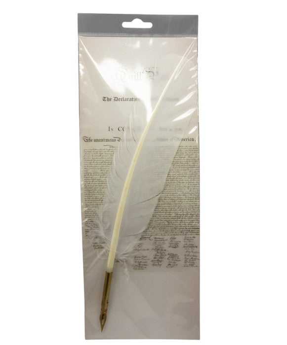 Feather quill pen with gold tip on a printed paper background in clear packaging.