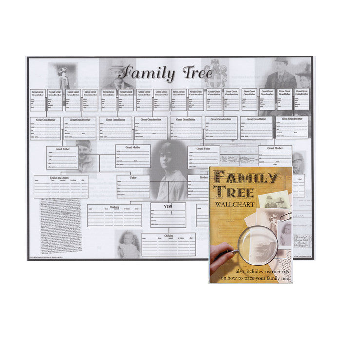 A2 Family Tree Wallchart