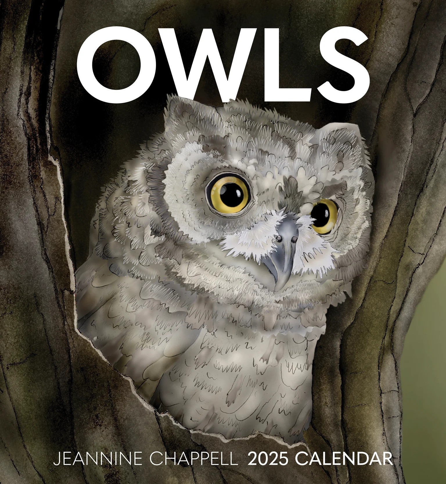 Owls 2025 Wall Calendar