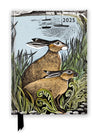 Angela Harding Rathlin Hares 2025 Dary