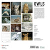 Bacl of calendar showing thumbnails of month illustrations
