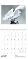 Sample page for Janaury showing illustration and month grid