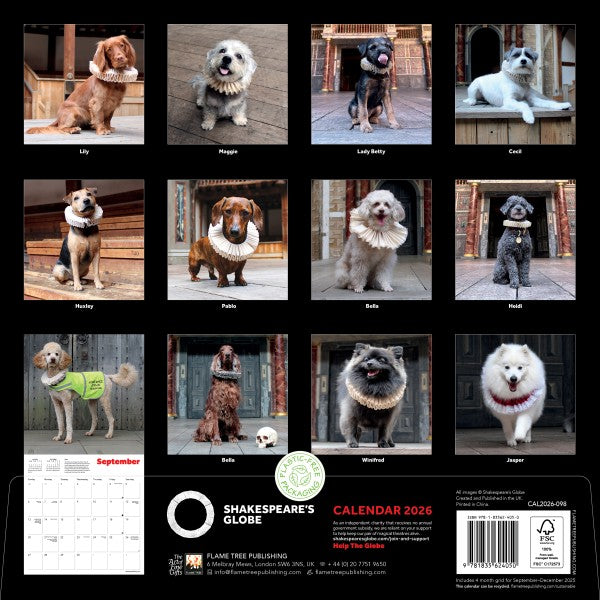 &#39;Dogs in Ruffs Shakespeare&#39;s Globe&#39; 2026 Wall Calendar reverse