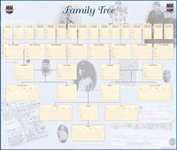 A2 Family Tree Wallchart
