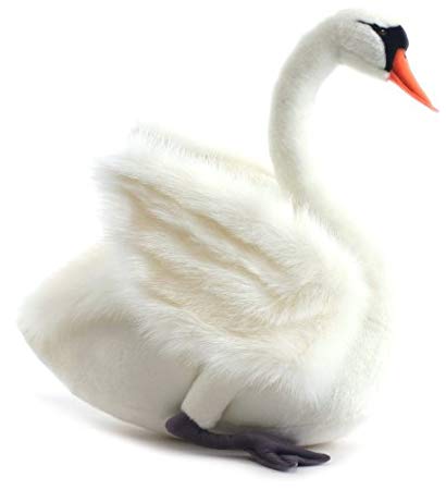 The Swan: A Biography