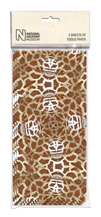 'Giraffe' Tissue Paper Sheets