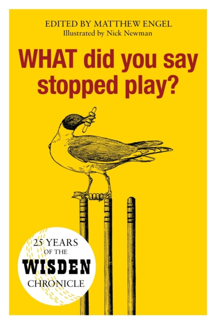 Cover of What Did You Say Stopped Play?: 25 Years of the Wisden Chronicle