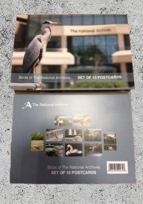 'Birds of The National Archives' Postcard Set