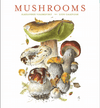 Front Cover of Mushrooms Calendar 2024