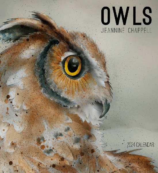 2024 'Owls' Wall Calendar