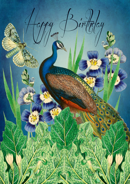 'Peacock & Butterfly' Birthday Greetings Card