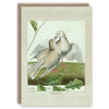 &#39;Turtle Doves&#39; Greetings Card