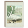 &#39;Swans&#39; Greetings Card