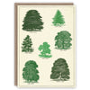 &#39;Trees &amp; Types of Wood&#39; Greetings Card