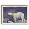 &#39;Polar Bear&#39; Greetings Card