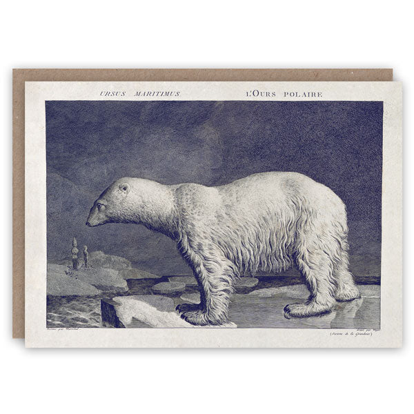 'Polar Bear' Greetings Card