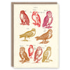 &#39;Owls&#39; Greetings Card