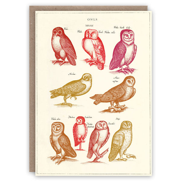 'Owls' Greetings Card