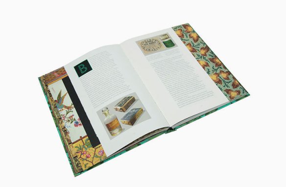 Open Page of Bitten by Witchfever