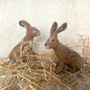 Shows two completed hares.