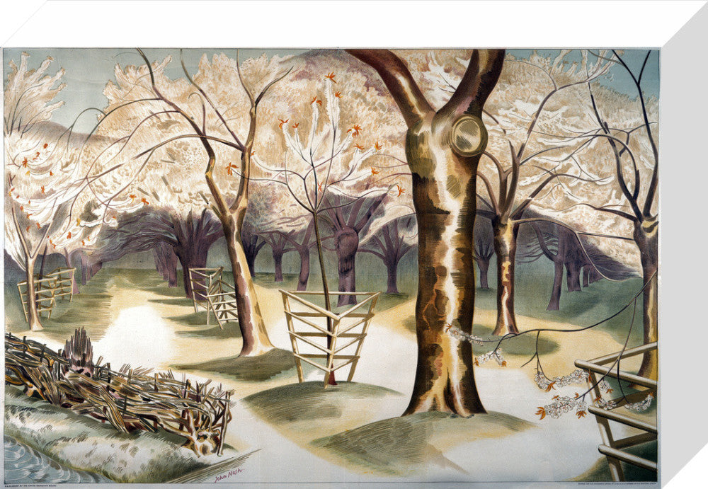 Fruit Gardens and Orchard