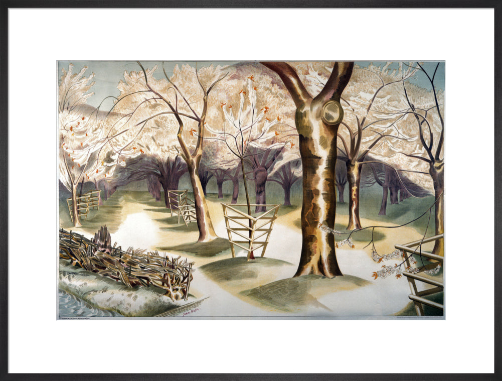 Fruit Gardens and Orchard