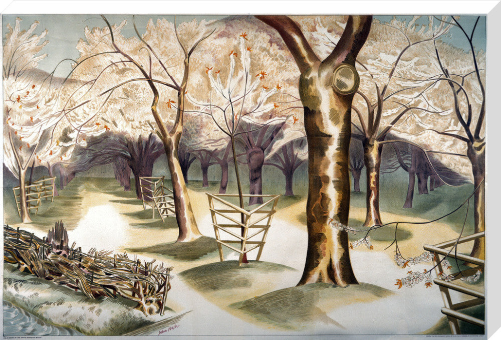 Fruit Gardens and Orchard