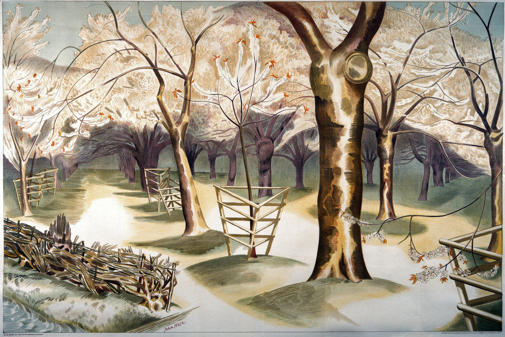 Fruit Gardens and Orchard