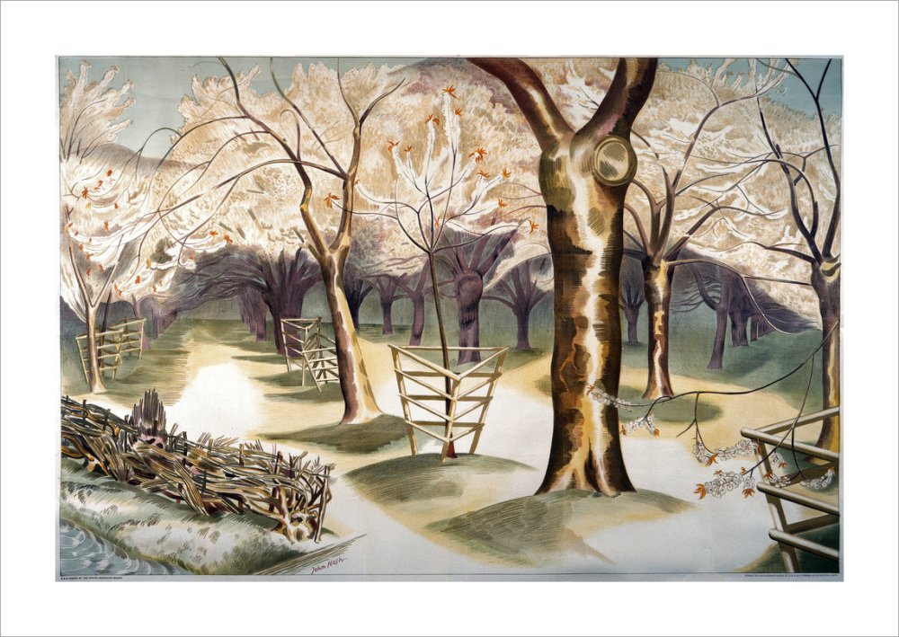 Fruit Gardens and Orchard