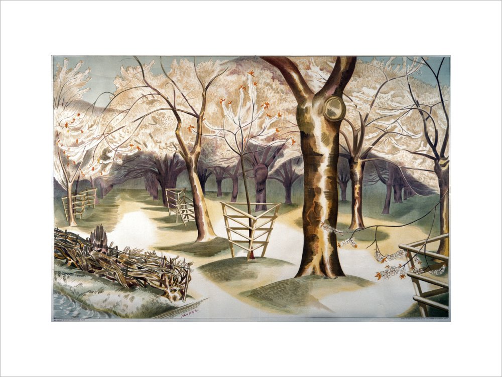 Fruit Gardens and Orchard