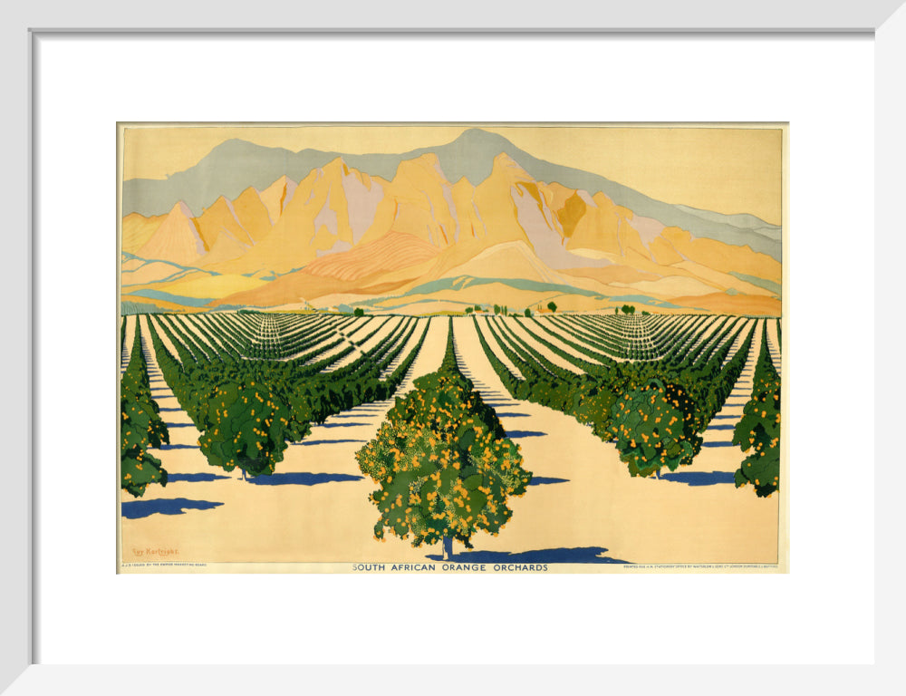 South African Orange Orchards