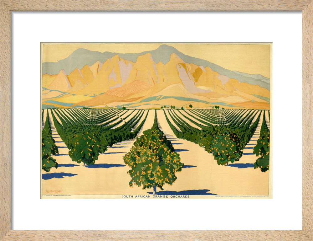 South African Orange Orchards