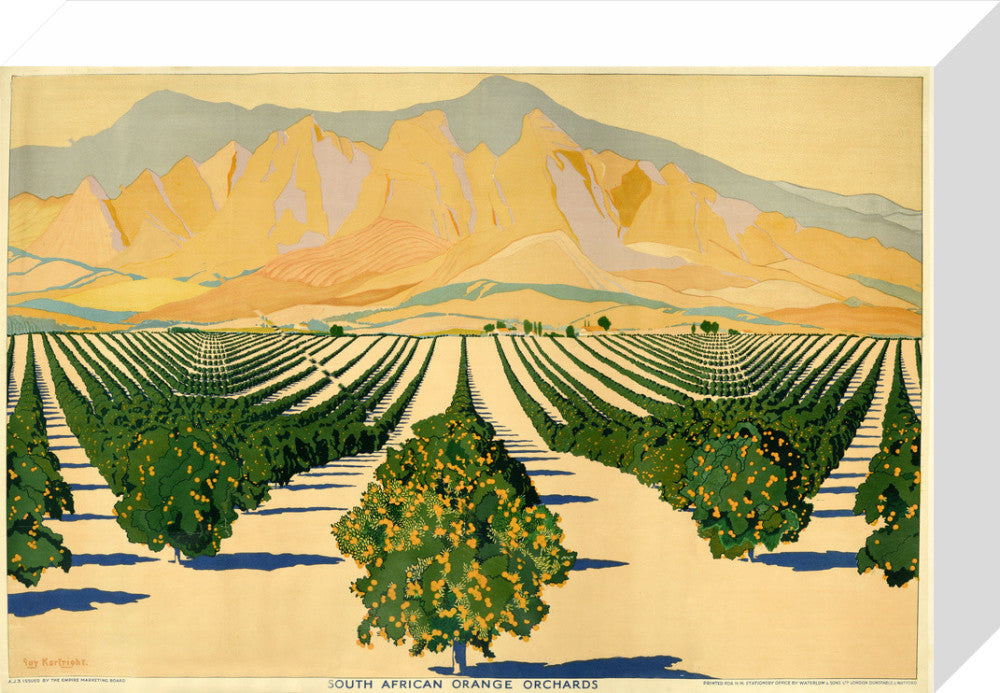 South African Orange Orchards