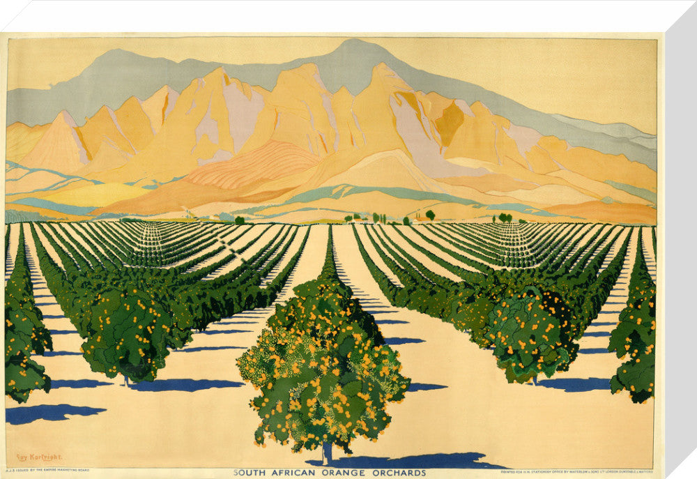 South African Orange Orchards