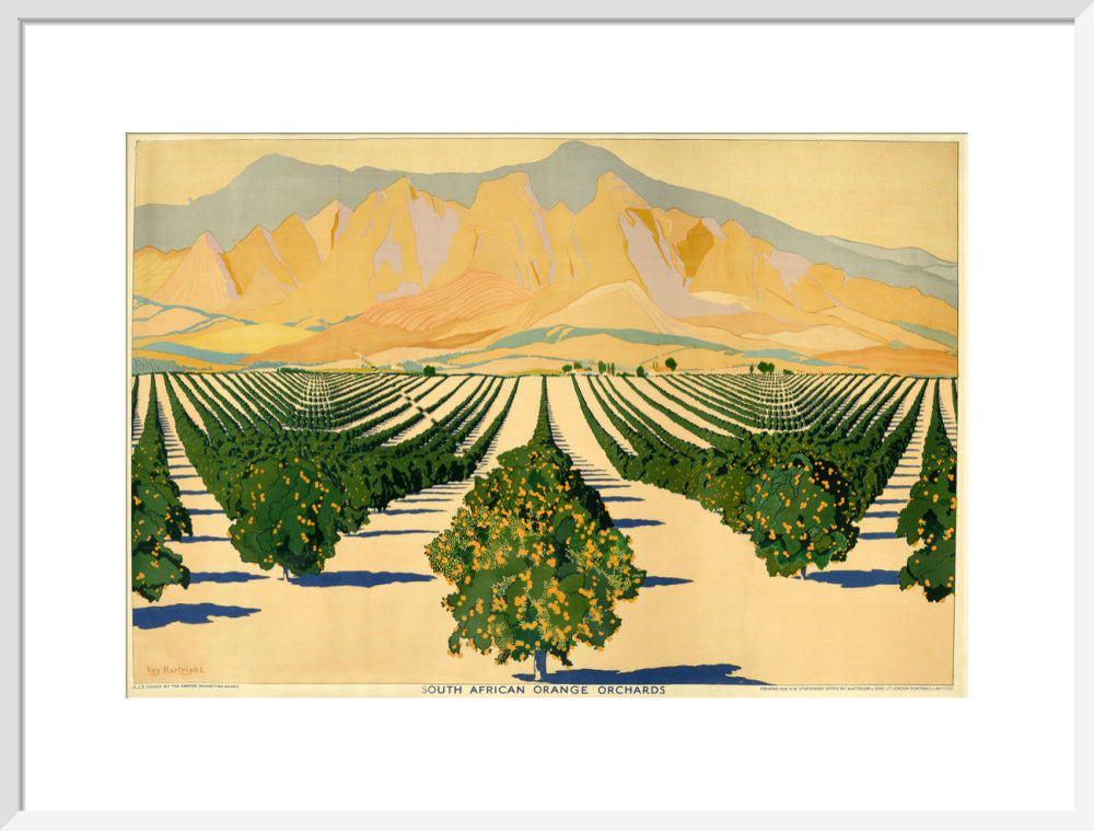 South African Orange Orchards