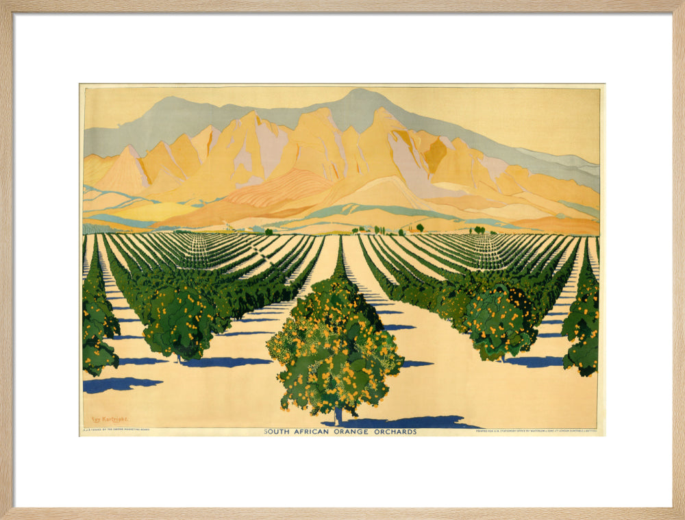 South African Orange Orchards