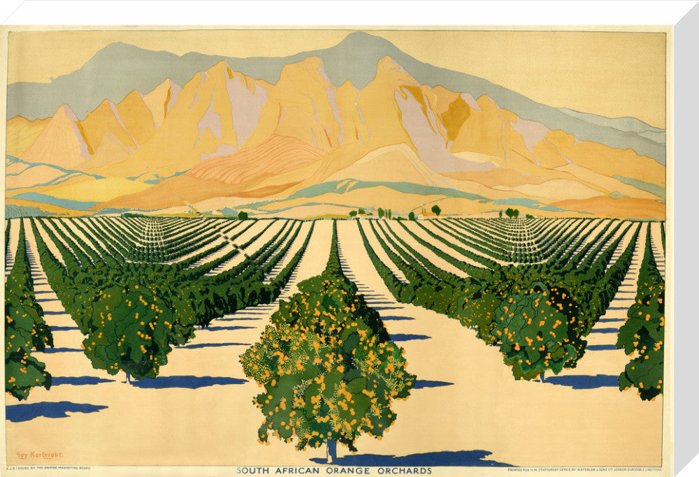South African Orange Orchards