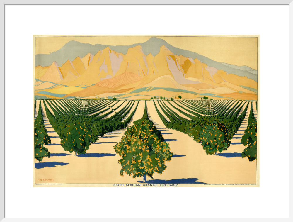 South African Orange Orchards