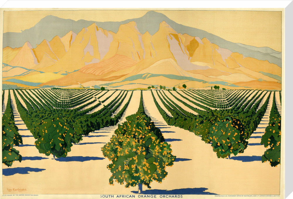 South African Orange Orchards