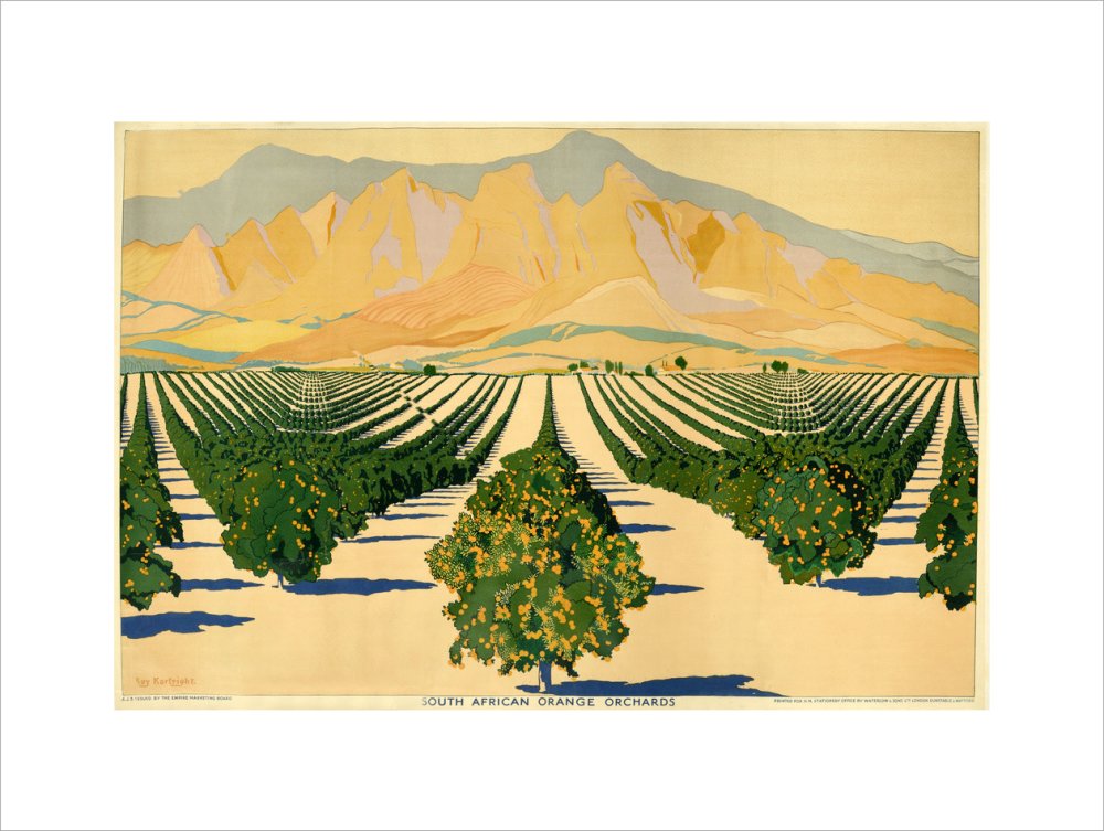 South African Orange Orchards