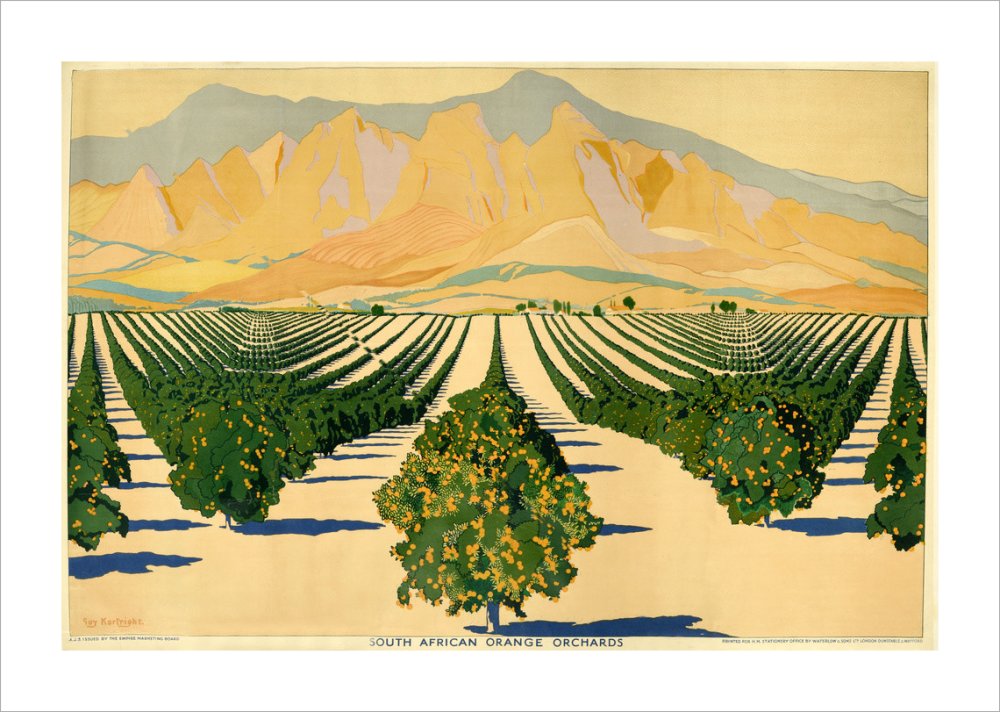 South African Orange Orchards
