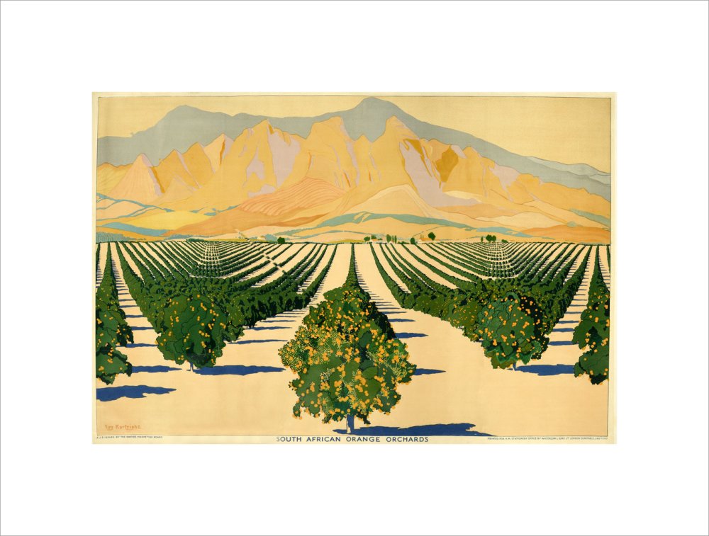 South African Orange Orchards