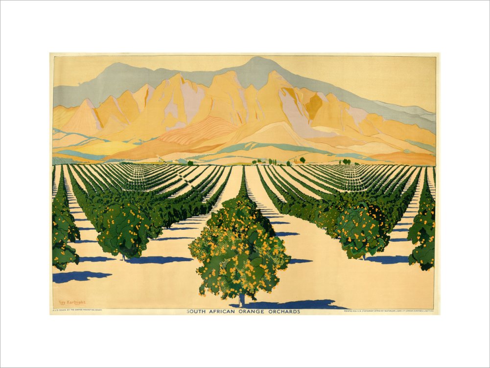 South African Orange Orchards