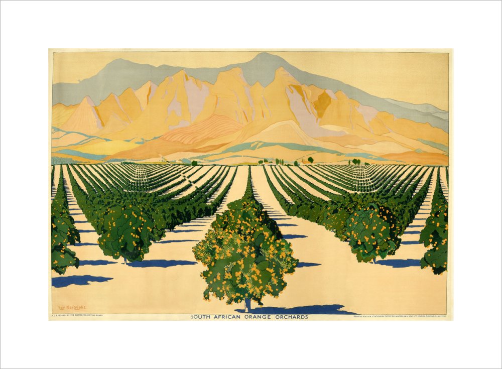 South African Orange Orchards
