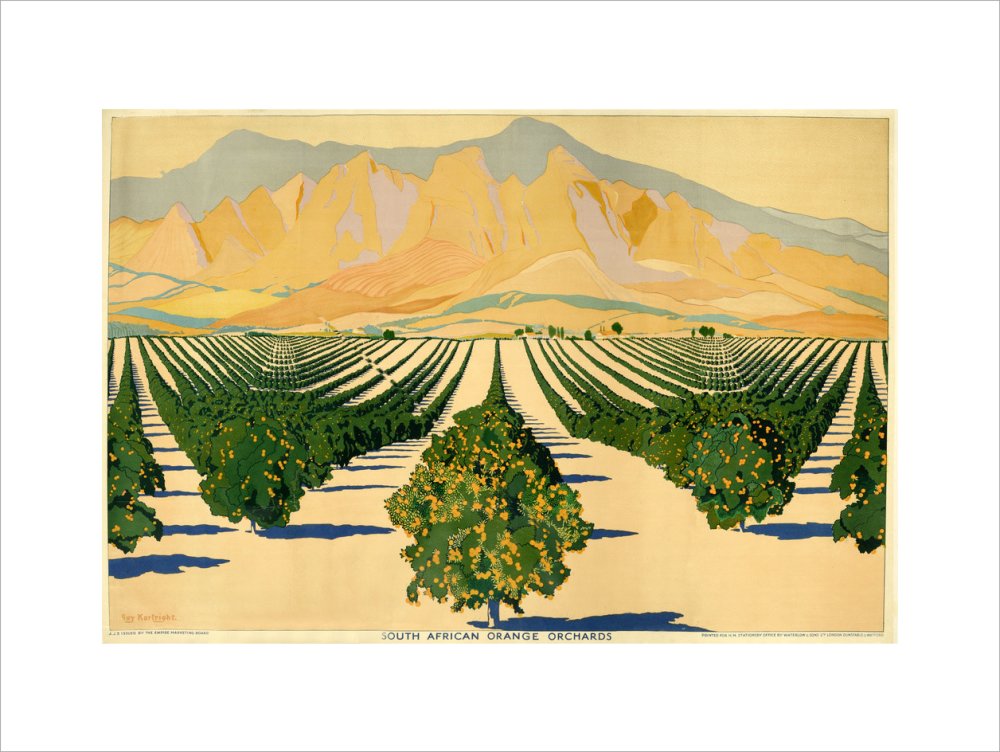 South African Orange Orchards