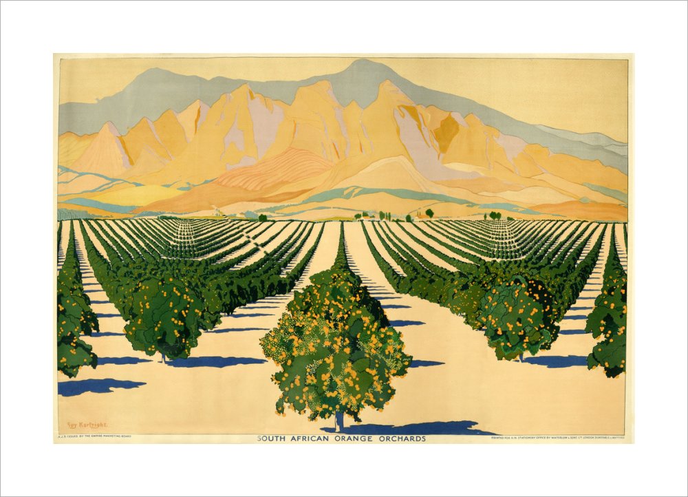 South African Orange Orchards