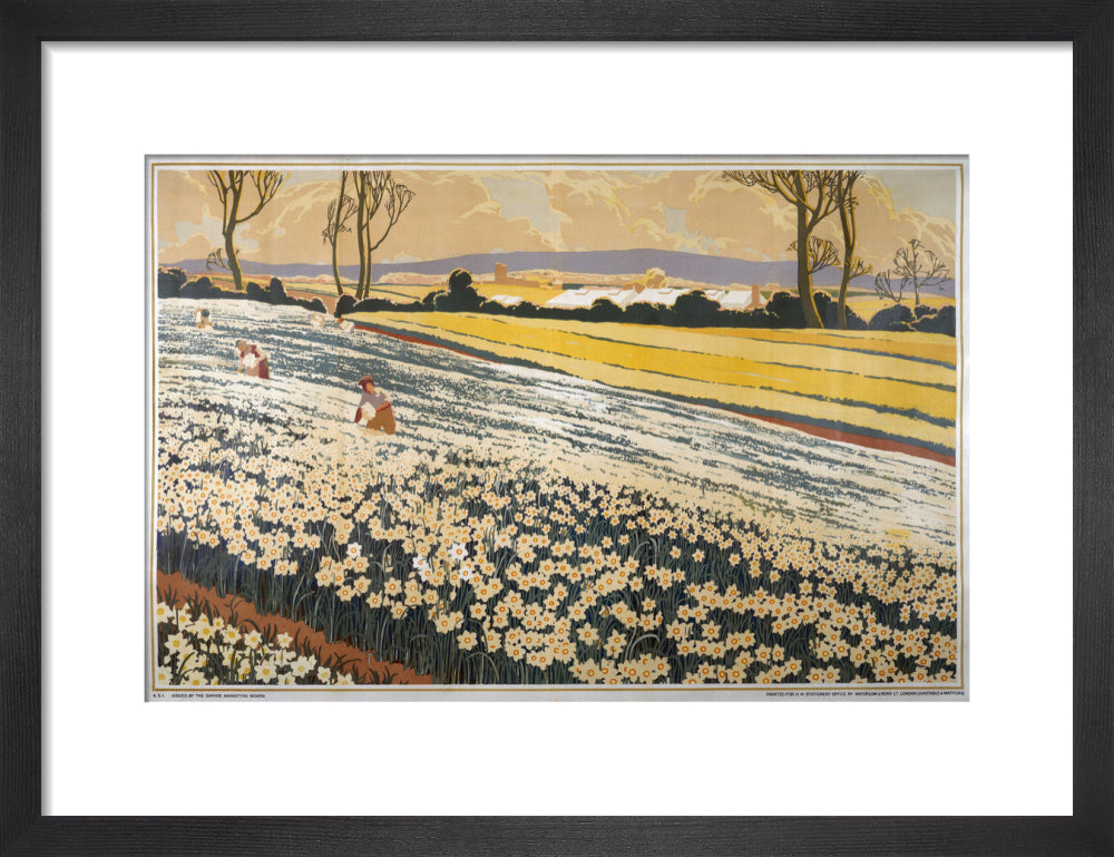 British Bulbs in a Field